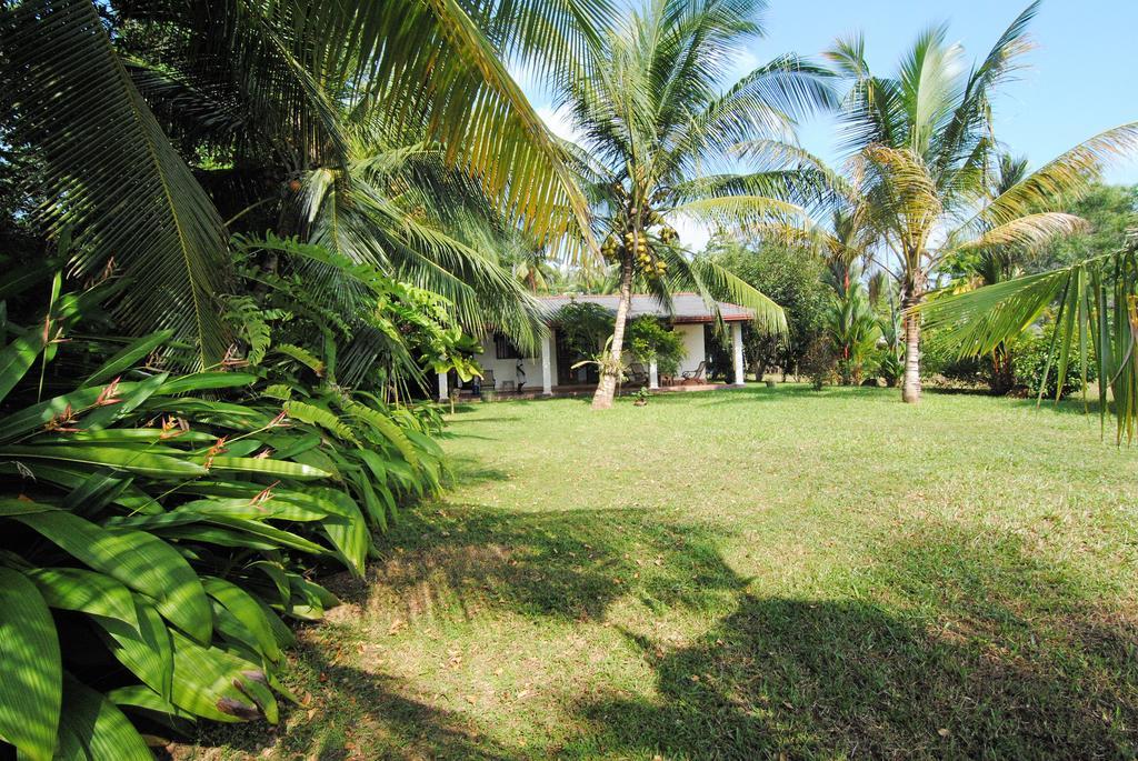 Mangrove Villa - Bentota River Exterior photo